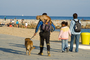 Le "transporteur de chiens" - IMG_8272