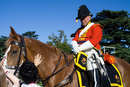 Cavalier de l'armée anglaise