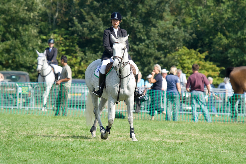 Le concours hippique...