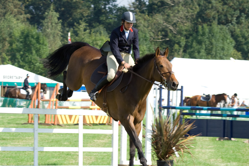 Le concours hippique...