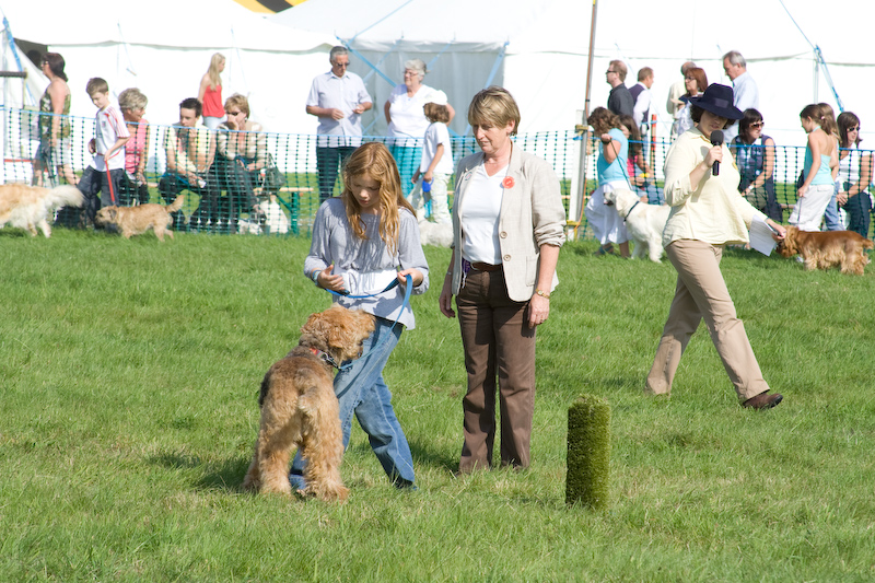 Concours des chiens...