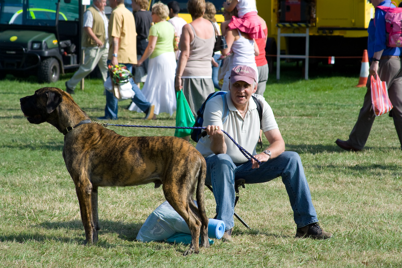 Tel maitre, tel chien...