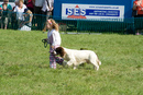 Excellente petite fille et son chien... Elle était hyper drole...