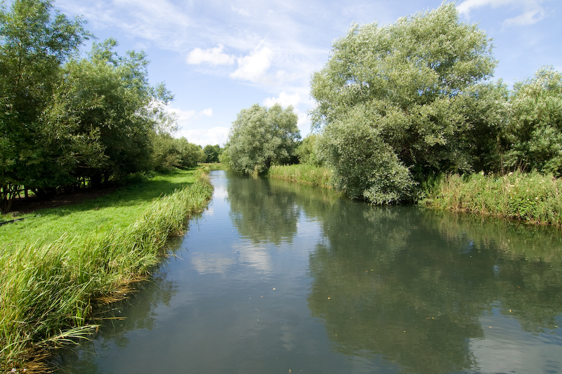 Rivière dans la campagne