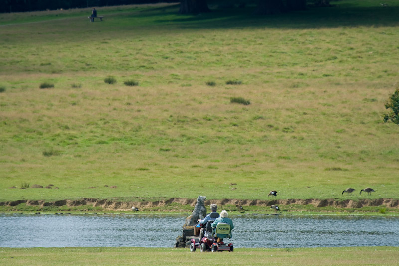 Bord du "pond"