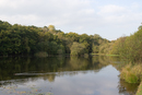 Etang dans la New Forest...