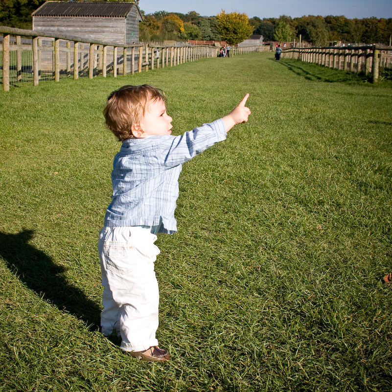 Après-midi à Odds Farm - 11 Octobre 2008