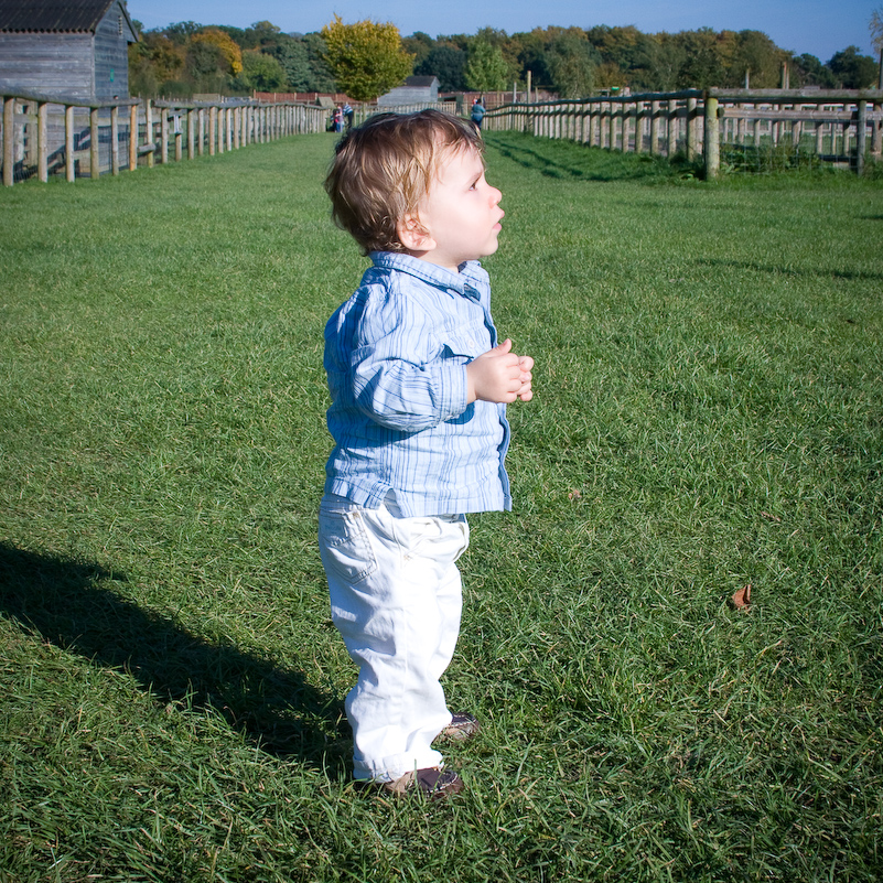 Après-midi à Odds Farm - 11 Octobre 2008