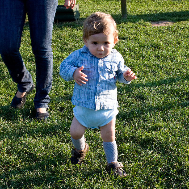 Après-midi à Odds Farm - 11 Octobre 2008