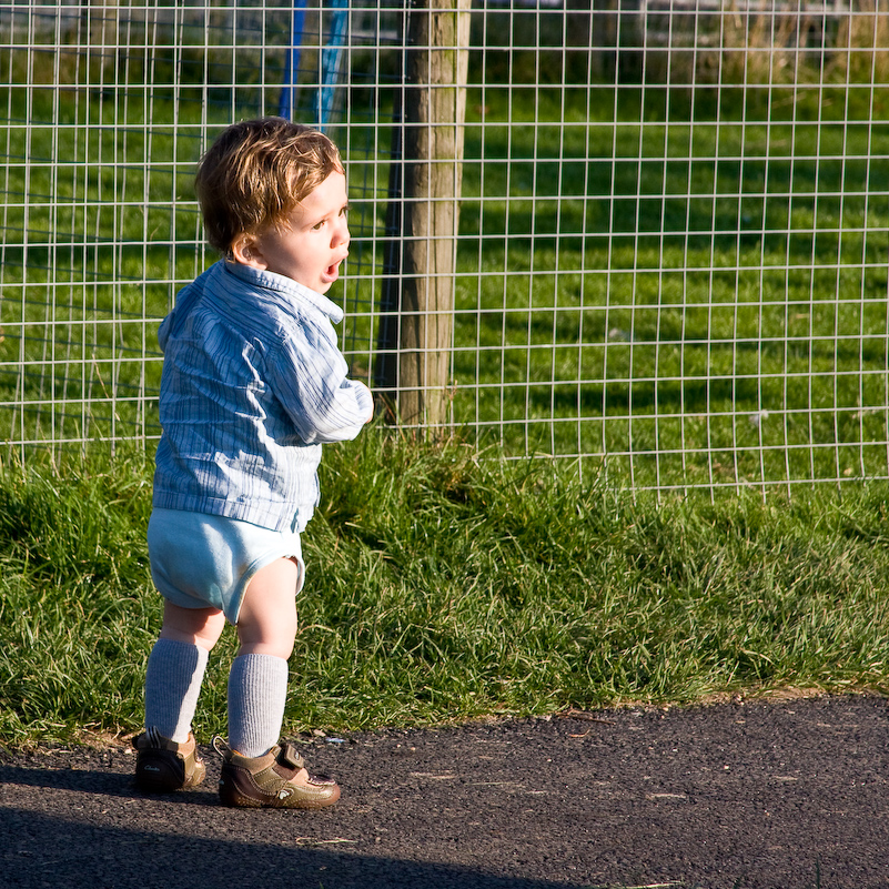 Après-midi à Odds Farm - 11 Octobre 2008