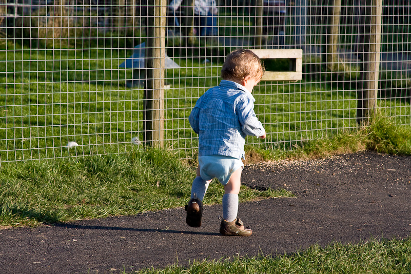 Après-midi à Odds Farm - 11 Octobre 2008