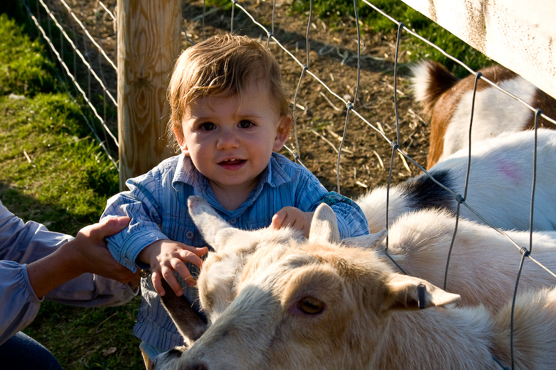 Après-midi à Odds Farm - 11 Octobre 2008