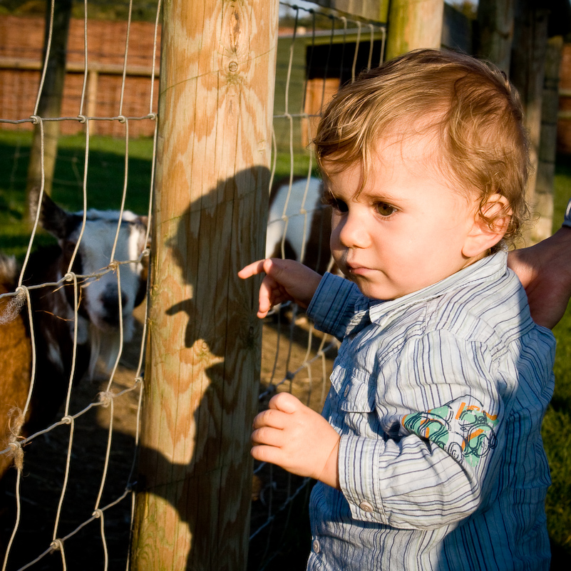 Après-midi à Odds Farm - 11 Octobre 2008