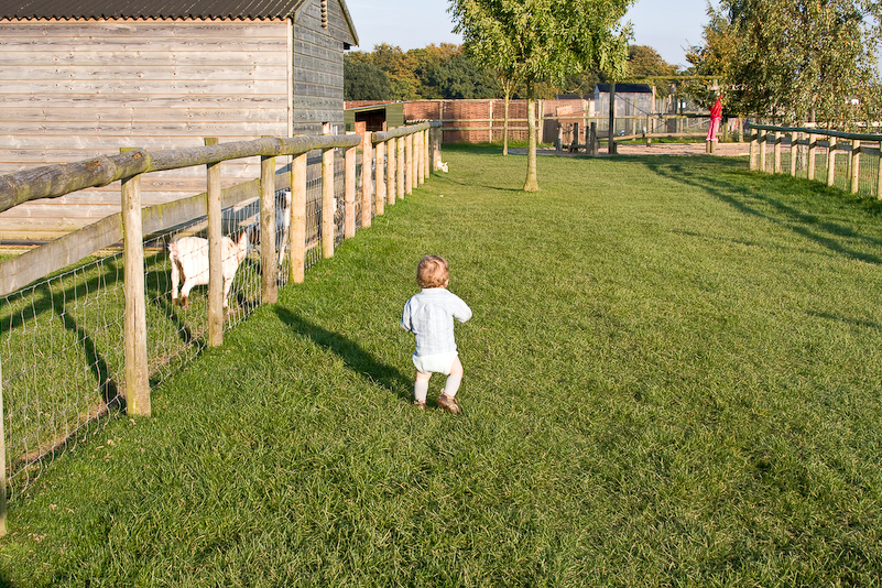 Après-midi à Odds Farm - 11 Octobre 2008