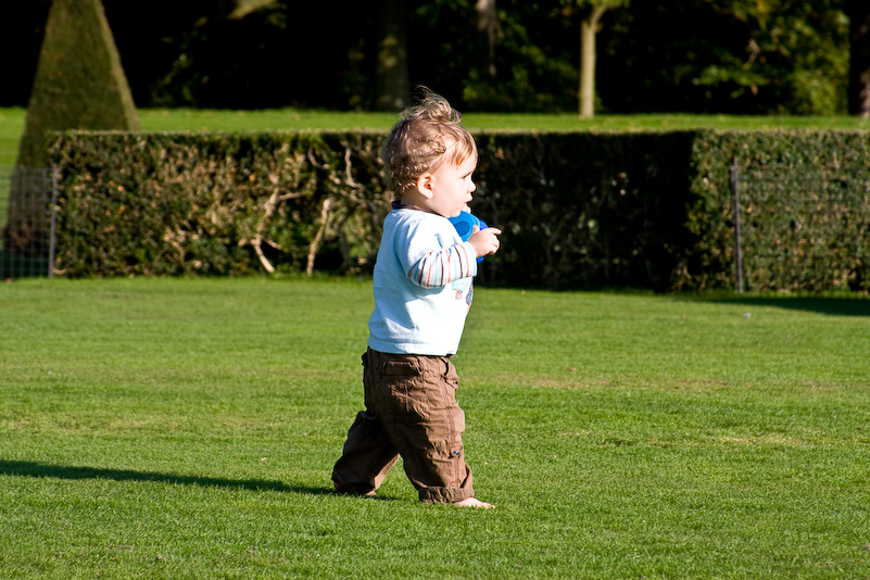 Promenade à Cliveden NT - 12 Octobre 2008