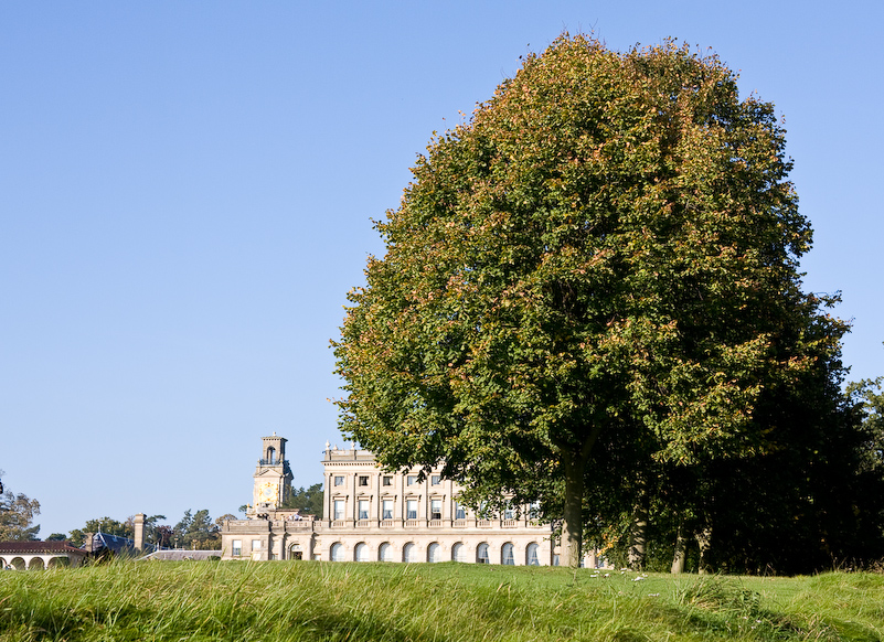 Promenade à Cliveden NT - 12 Octobre 2008