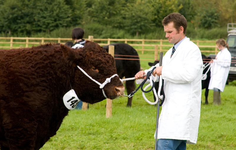 The Henley Show - 13 Septembre 2008