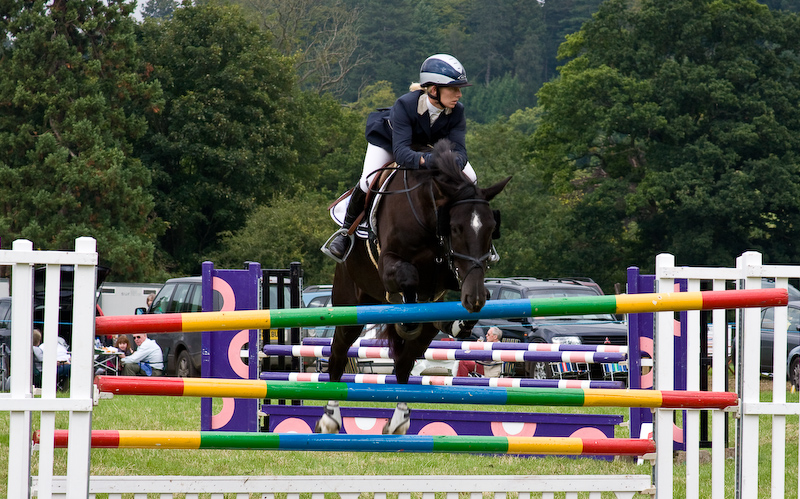 The Henley Show - 13 Septembre 2008