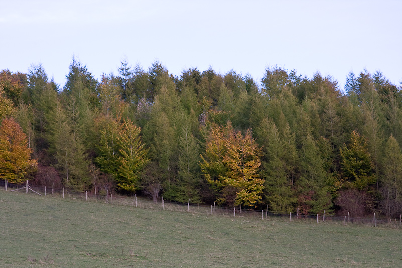 Marche dans la campagne vers Henley - 18 Octobre 2008