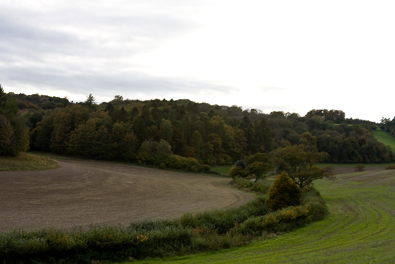 Marche dans la campagne vers Henley - 18 Octobre 2008