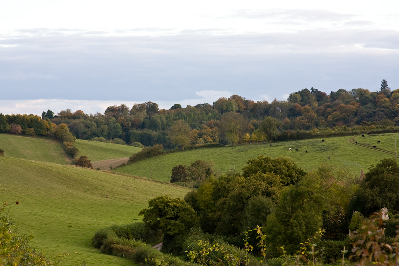 Marche dans la campagne vers Henley - 18 Octobre 2008