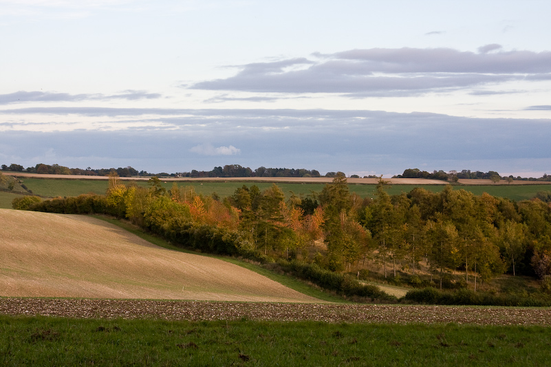 Marche dans la campagne vers Henley - 18 Octobre 2008