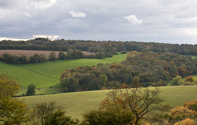 Marche dans la campagne vers Henley - 18 Octobre 2008