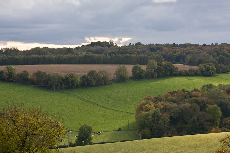 Marche dans la campagne vers Henley - 18 Octobre 2008