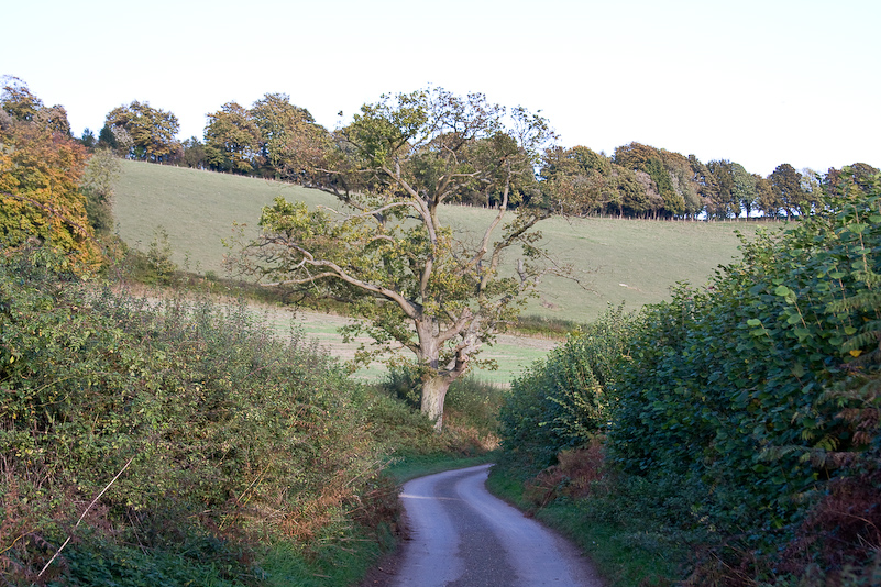 Marche dans la campagne vers Henley - 18 Octobre 2008