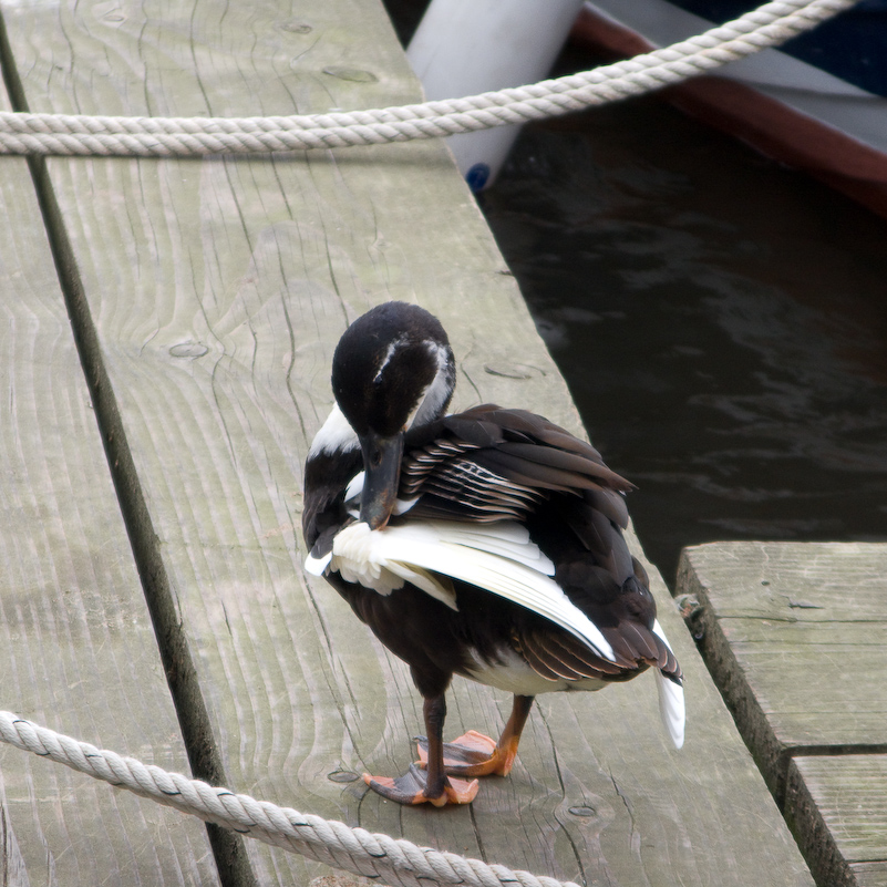 Henley-on-Thames