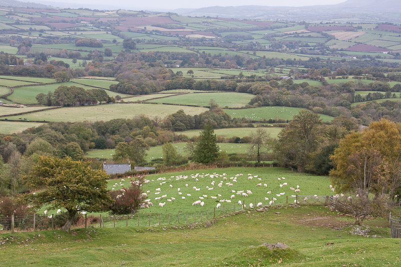 25 Octobre 2008 - Brecon