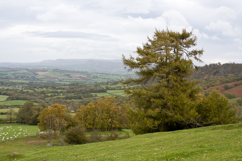 25 Octobre 2008 - Brecon