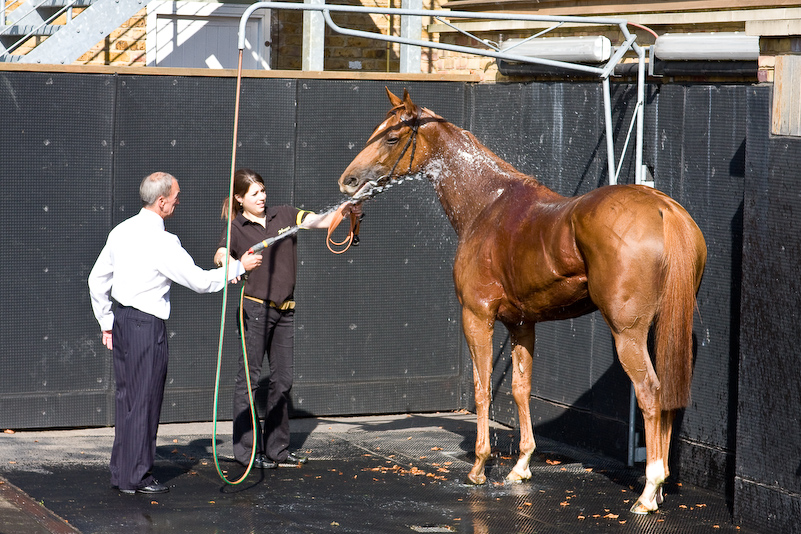 Ascot Racecourse - 27 Septembre 2008