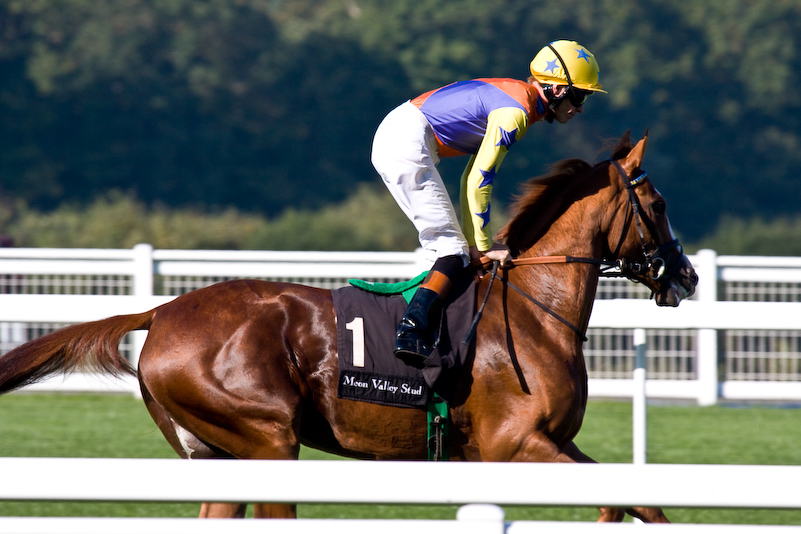 Ascot Racecourse - 27 Septembre 2008