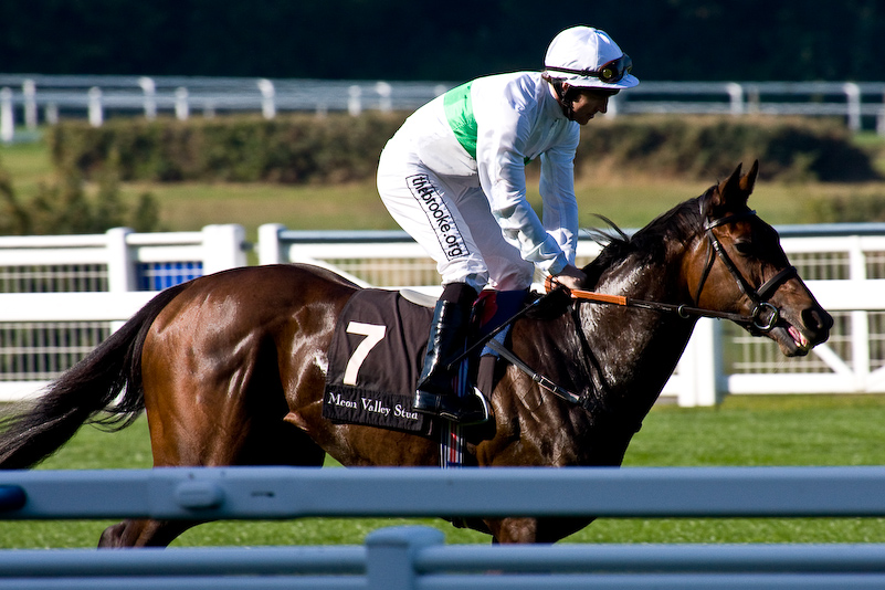 Ascot Racecourse - 27 Septembre 2008