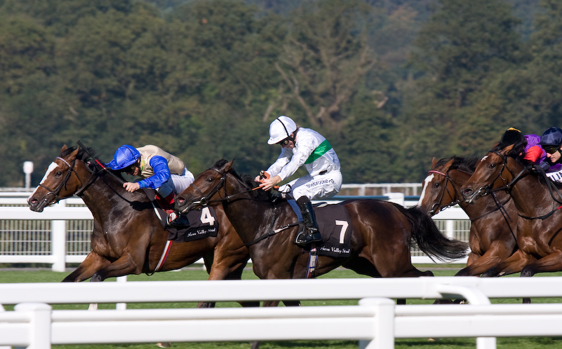 Ascot Racecourse - 27 Septembre 2008