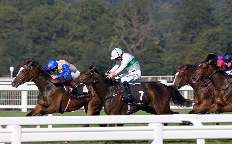 Ascot Racecourse - 27 Septembre 2008