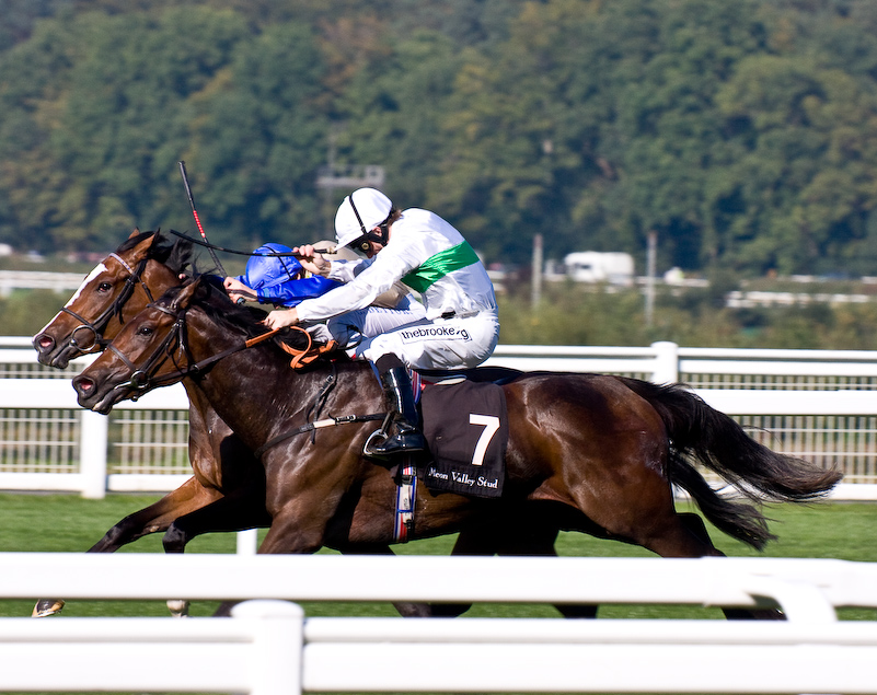 Ascot Racecourse - 27 Septembre 2008