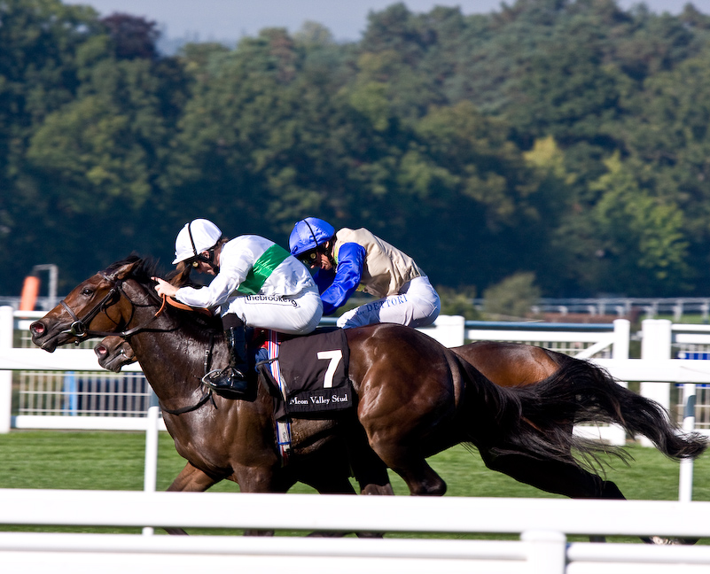 Ascot Racecourse - 27 Septembre 2008