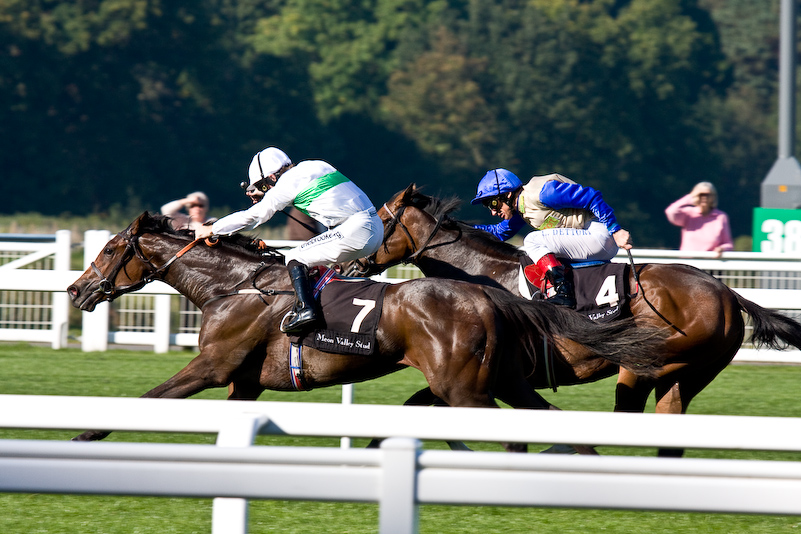 Ascot Racecourse - 27 Septembre 2008