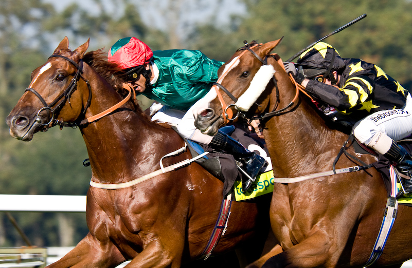 Ascot Racecourse - 27 Septembre 2008