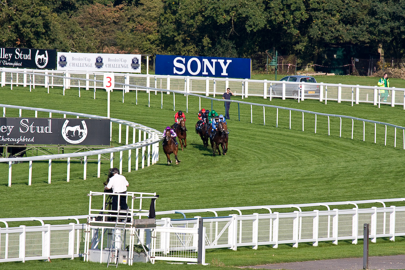 Ascot Racecourse - 27 Septembre 2008