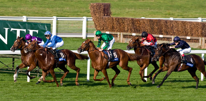 Ascot Racecourse - 27 Septembre 2008