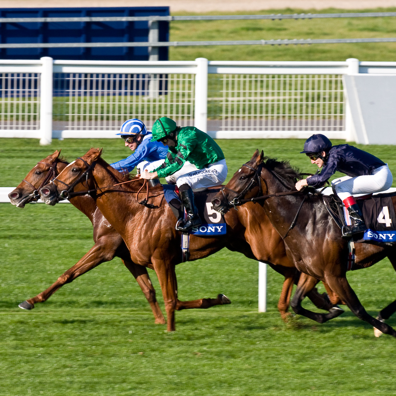 Ascot Racecourse - 27 Septembre 2008