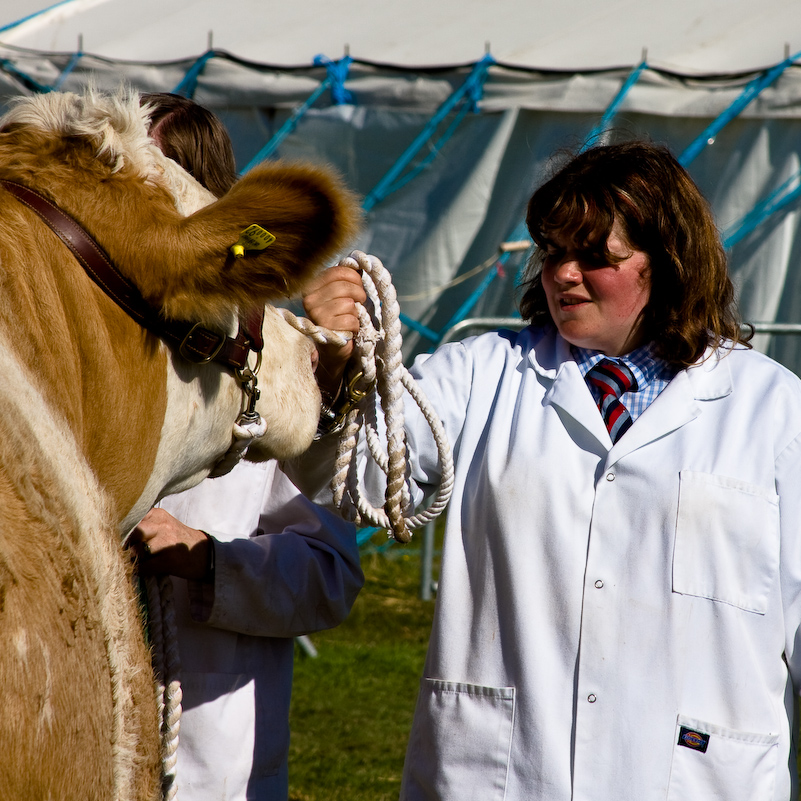 New Forest Country Show - 30 Juillet 2008