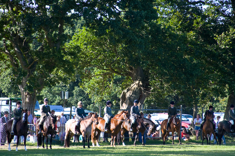 New Forest Country Show - 30 Juillet 2008