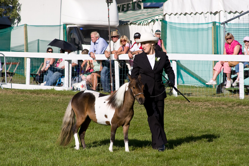 New Forest Country Show - 30 Juillet 2008