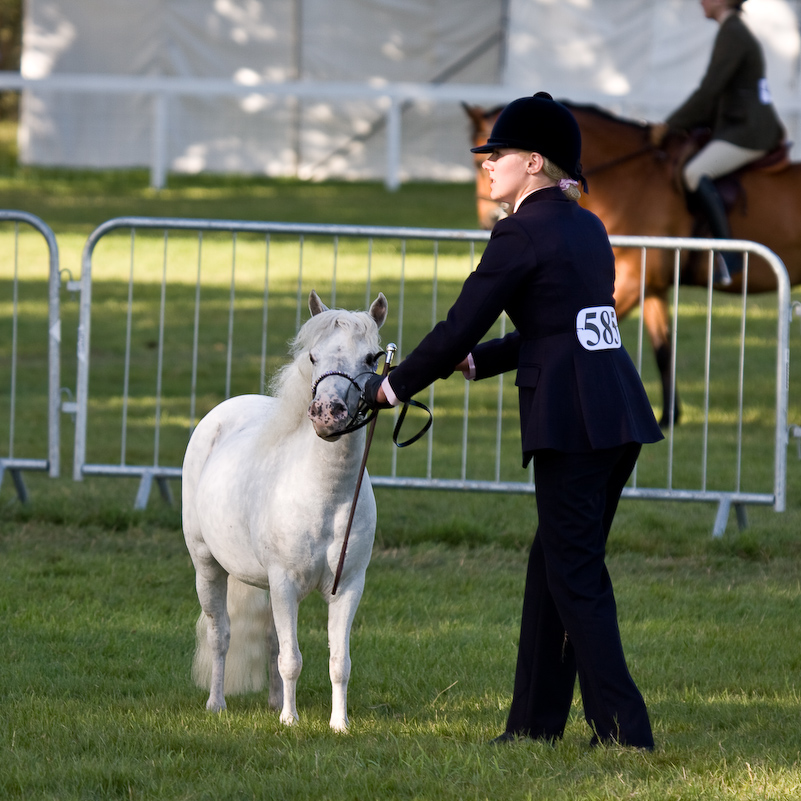 New Forest Country Show - 30 Juillet 2008