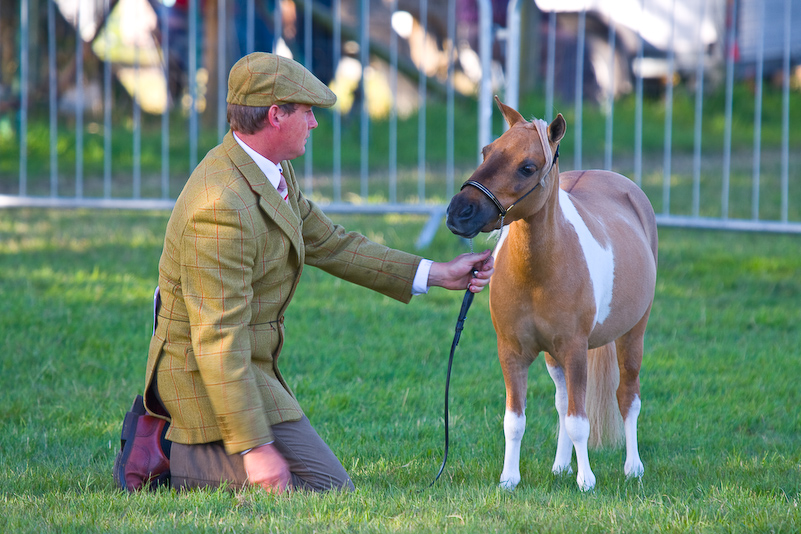 New Forest Country Show - 30 Juillet 2008