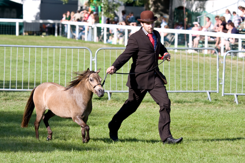 New Forest Country Show - 30 Juillet 2008